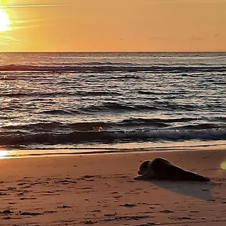 Slapen 'dicht Bij Zee' Semesterbostad Egmond aan Zee